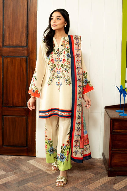 Ashnoor Co-ord set (QCS124)