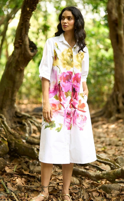 Baera Dress (QCIG104)