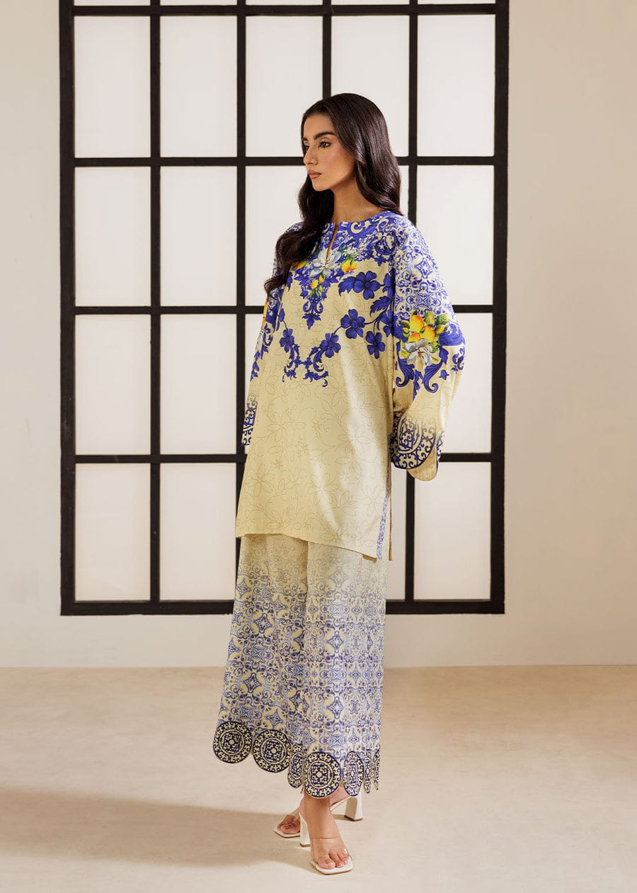 Avni coord (QCNXG58)