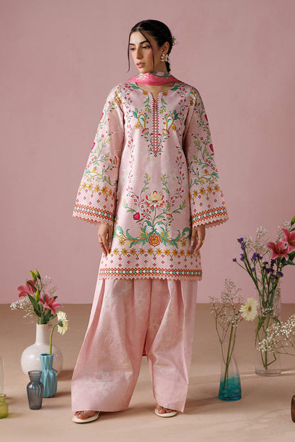 Musli Coord (QCS152)