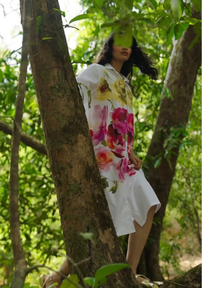 Baera Dress (QCIG104)