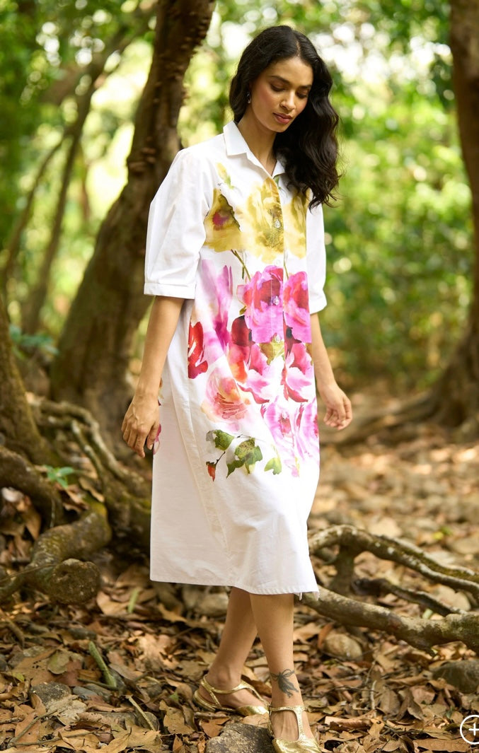 Baera Dress (QCIG104)