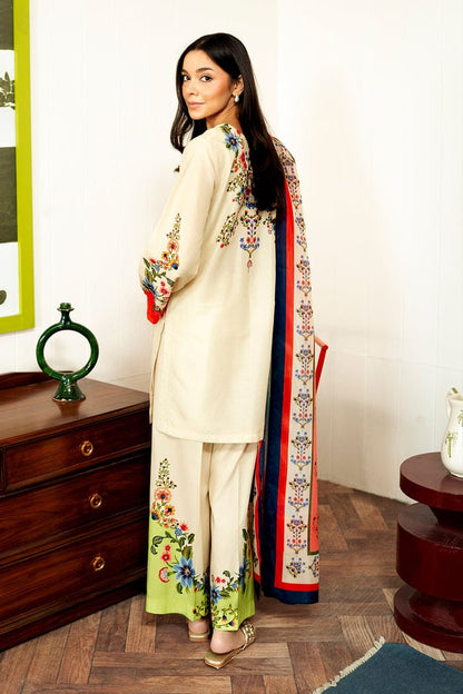 Ashnoor Co-ord set (QCS124)