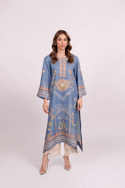 Harsha Co-ord set (QC6107)