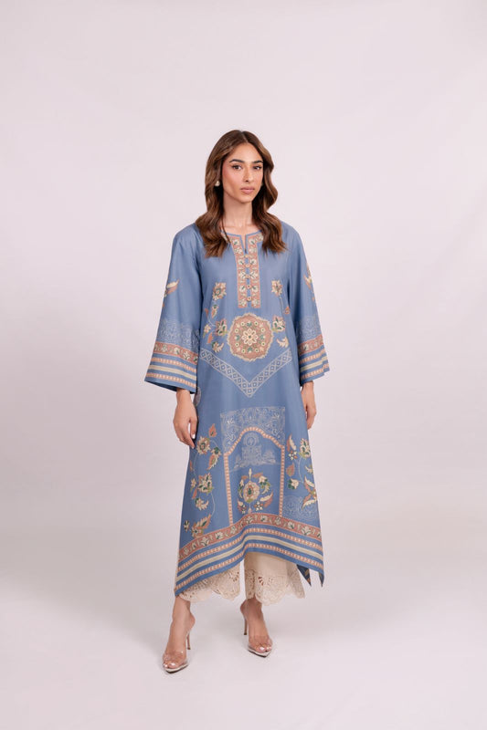 Harsha Co-ord set (QC6107)