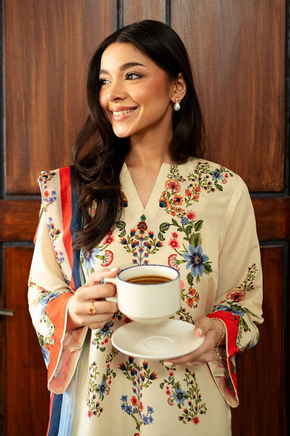 Ashnoor Co-ord set (QCS124)