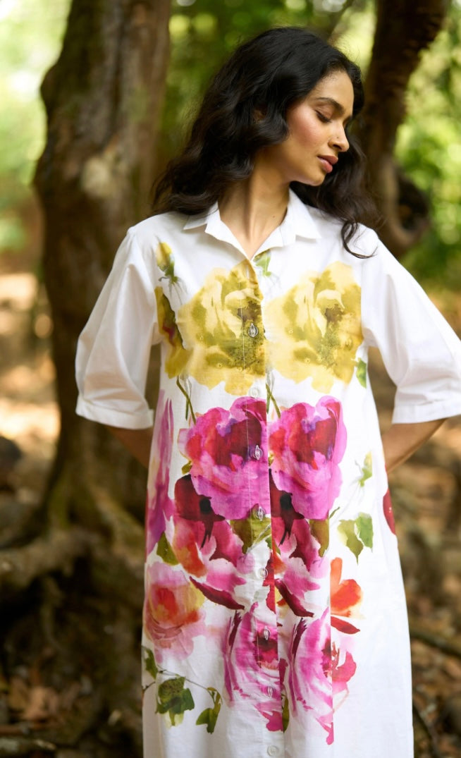 Baera Dress (QCIG104)