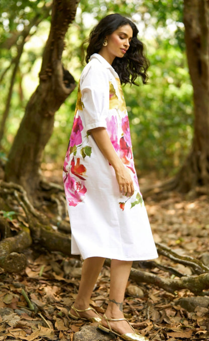 Baera Dress (QCIG104)