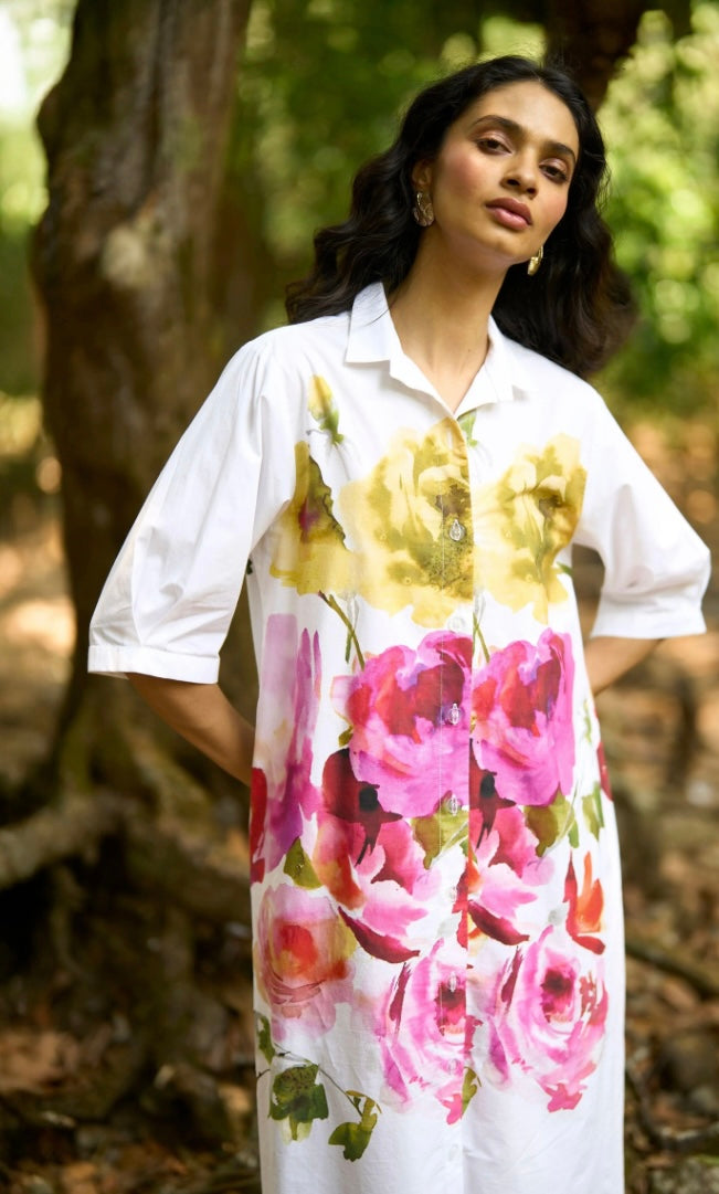 Baera Dress (QCIG104)