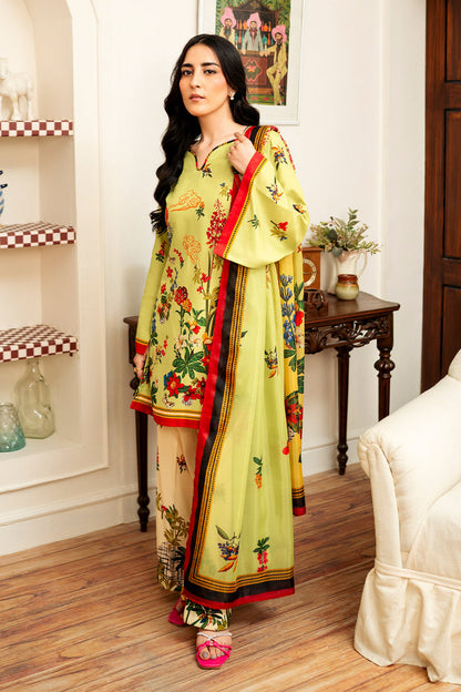 Ruhi Co-ord set (QCS122)